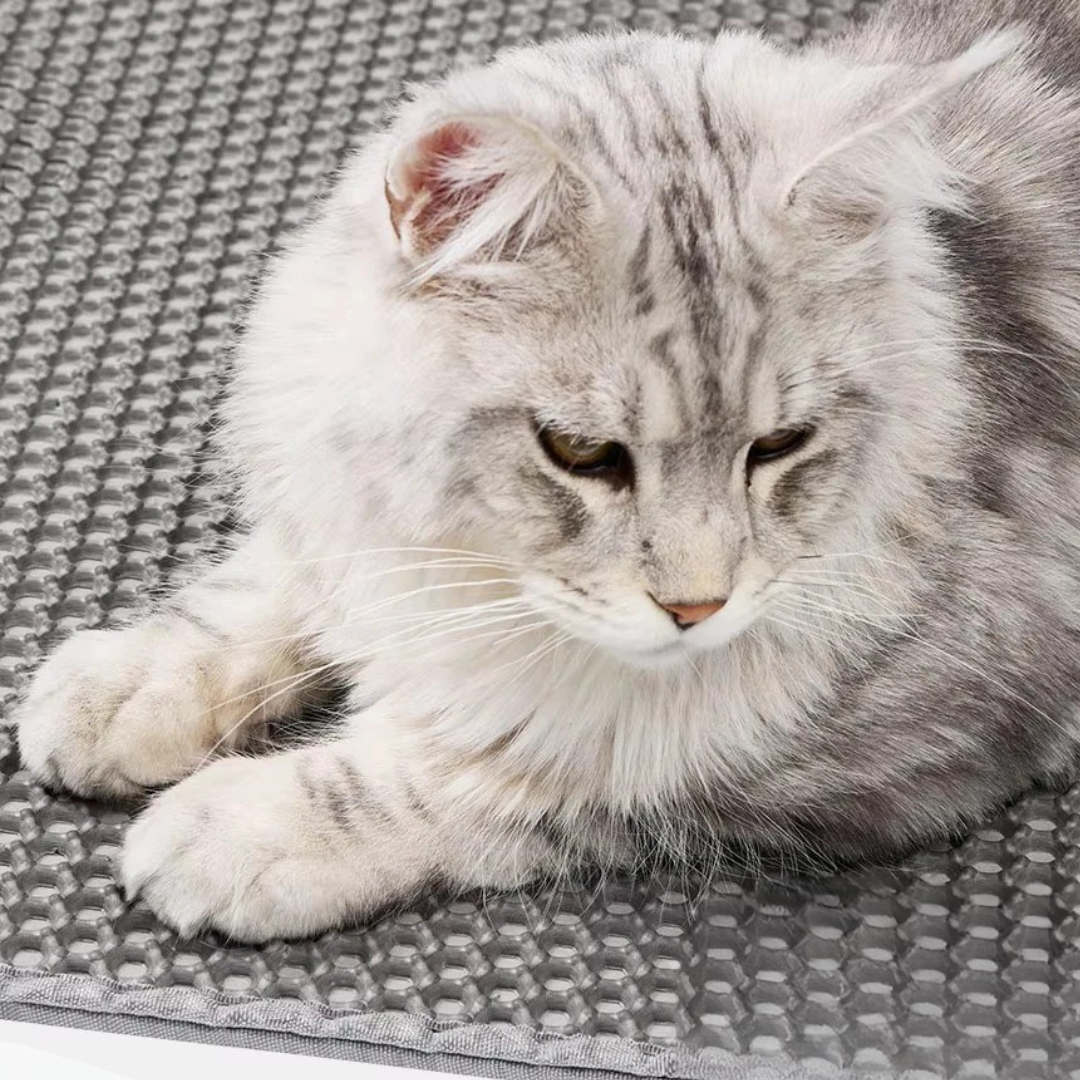 Katzenstreu Matte- CLEANSTEP