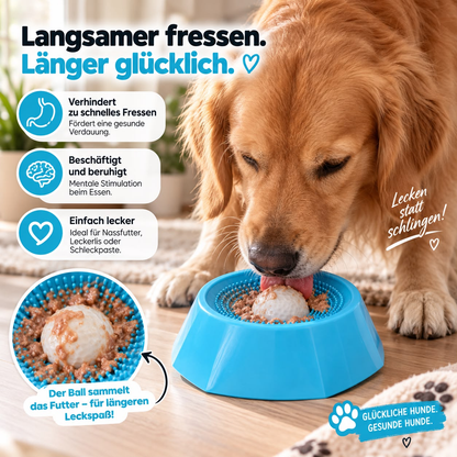 Funfeed - Beschäftigungsnapf