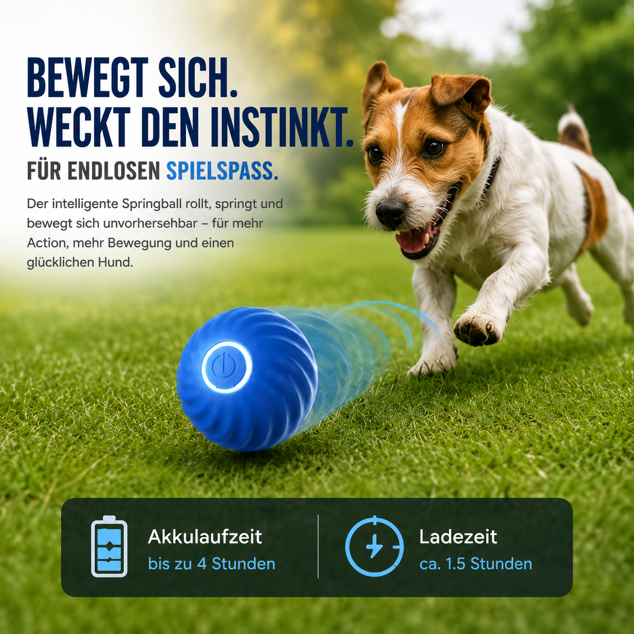 TurboBall - Hundeball